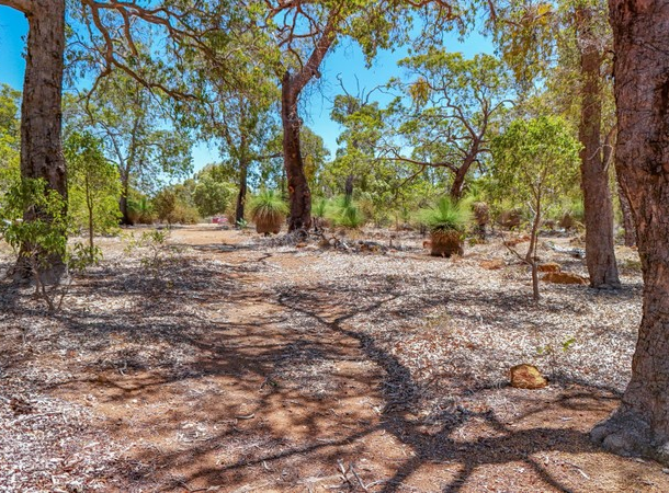 164 Darwinia Crescent, Coondle WA 6566