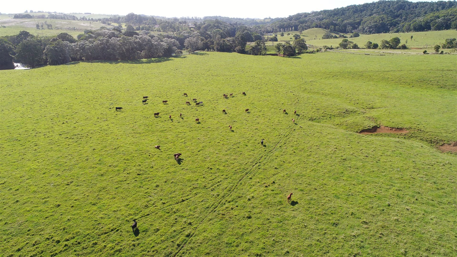 Malanda QLD 4885 Farm for Sale Domain