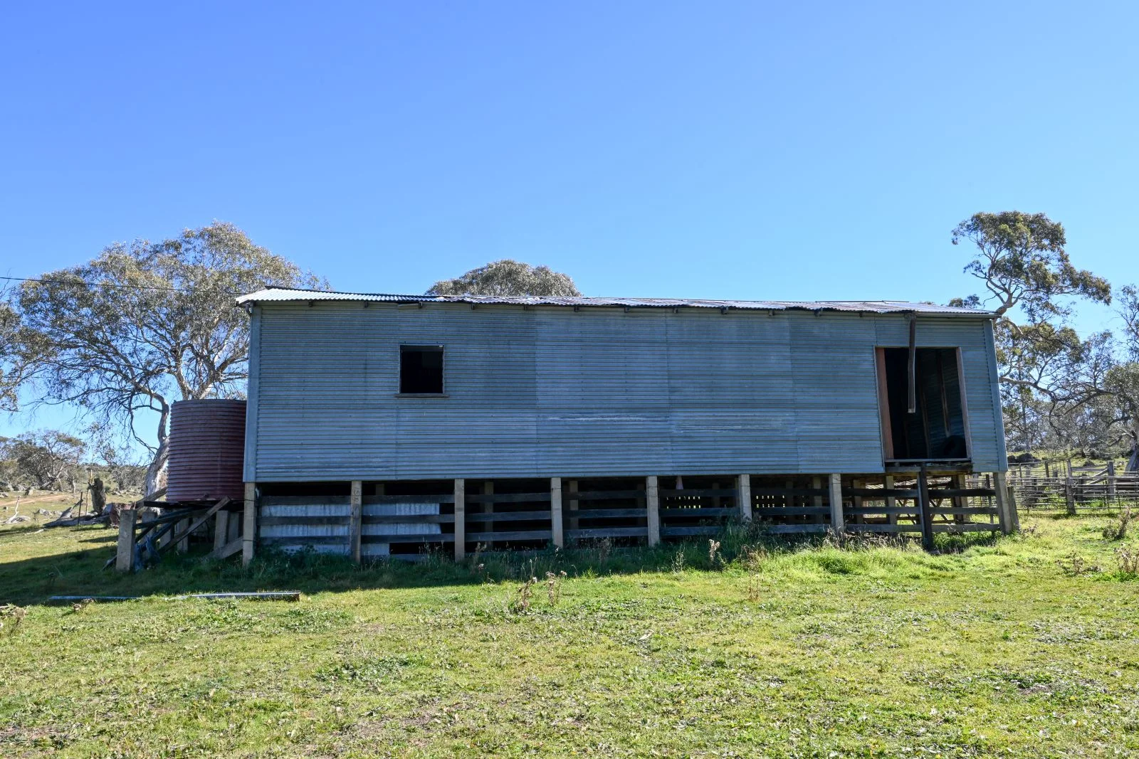 Image 7
