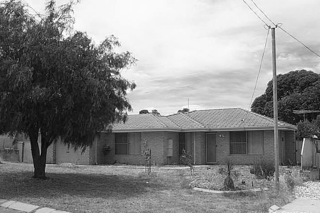 Picture of 12 Patrick Vista, PARMELIA WA 6167