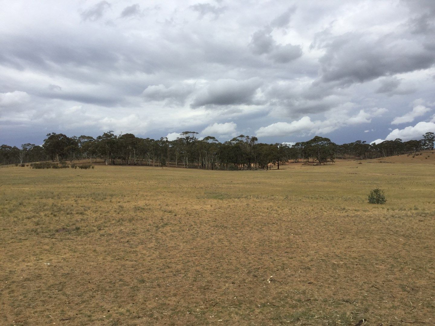 . Burkes Flat- Wehla Rd, Burkes Flat VIC 3475, Image 0