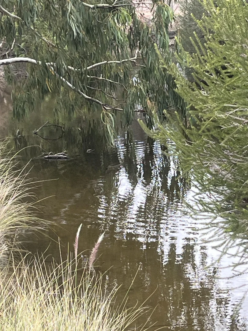 Additional image 19 of 184 St Dominics Road, Port Denison WA 6525