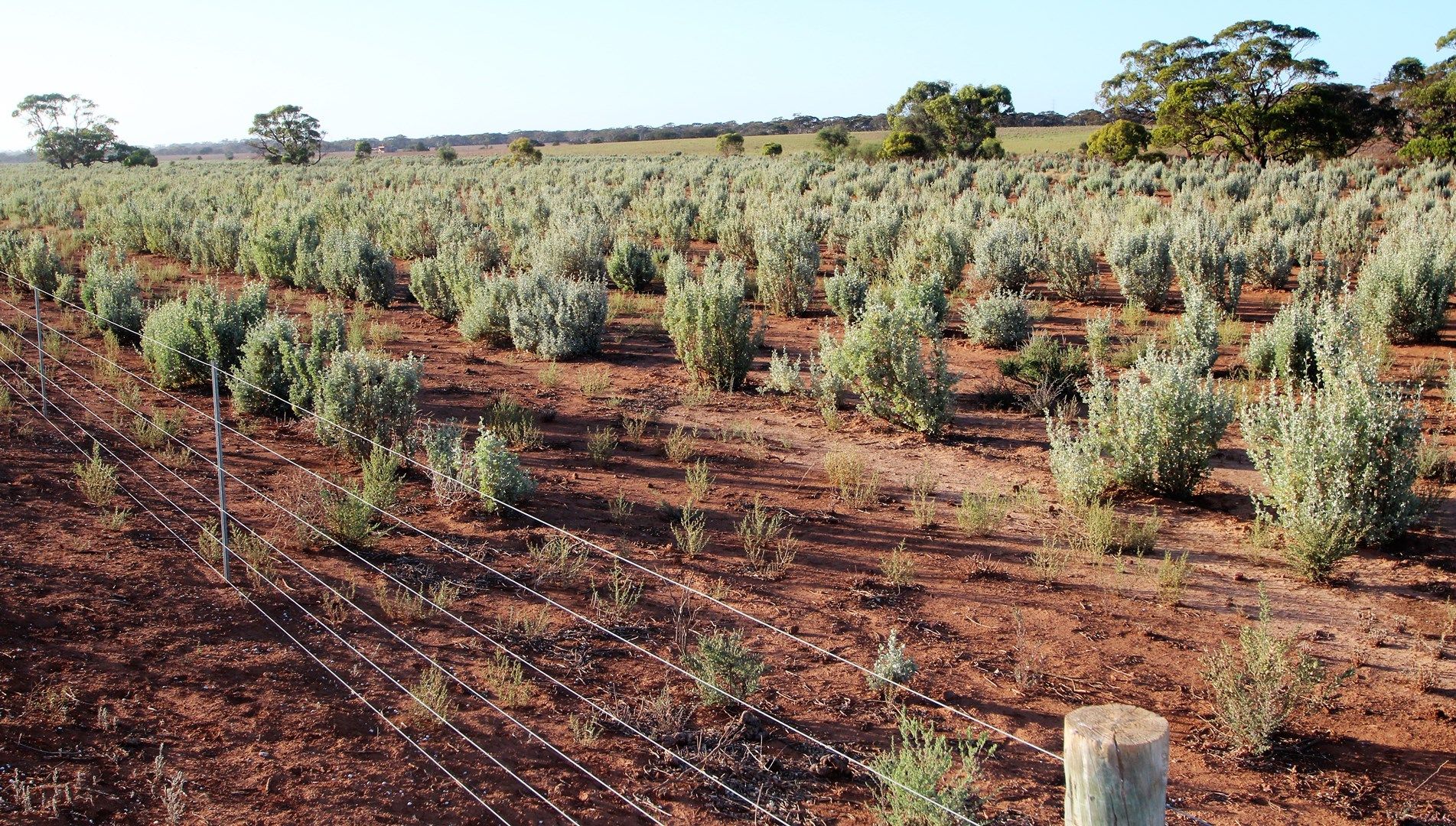 Lot 315 Bower Road, Australia Plains SA 5374, Image 0