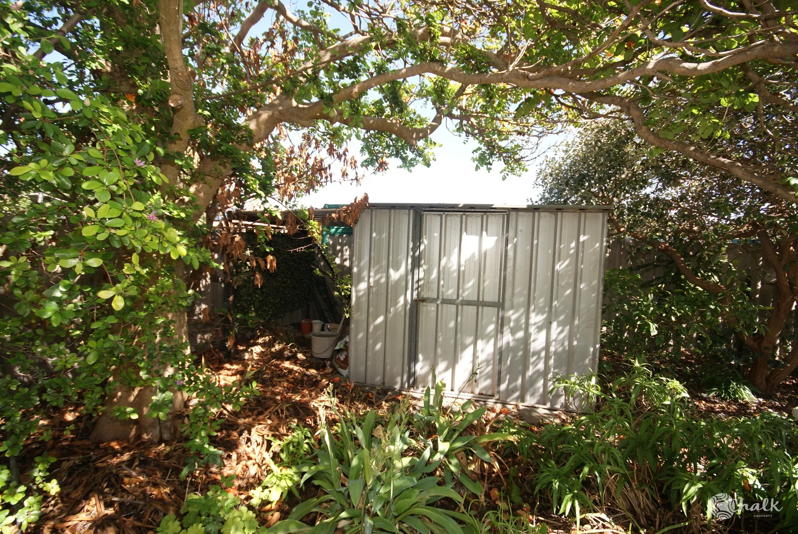 Image 21