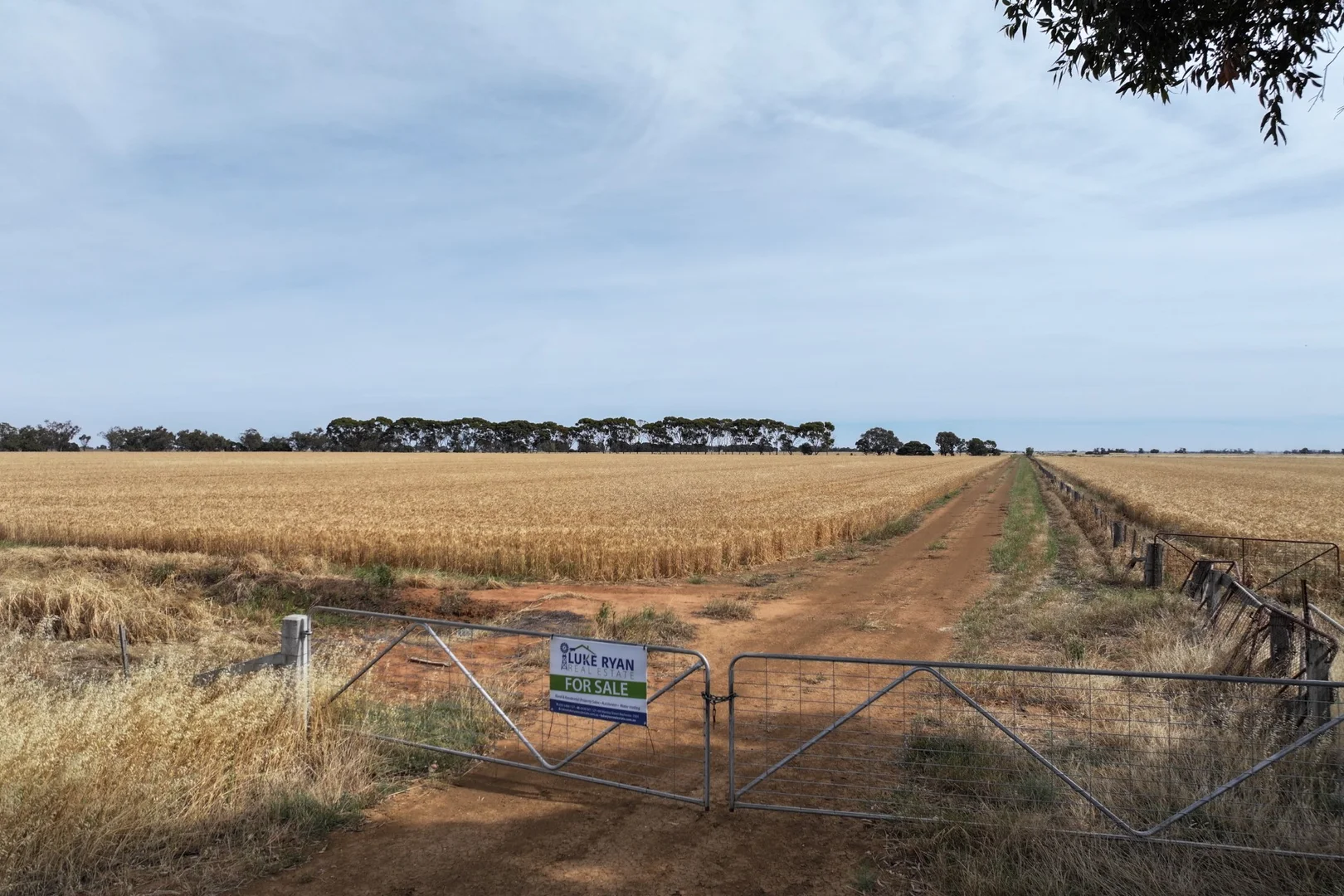 Image 15