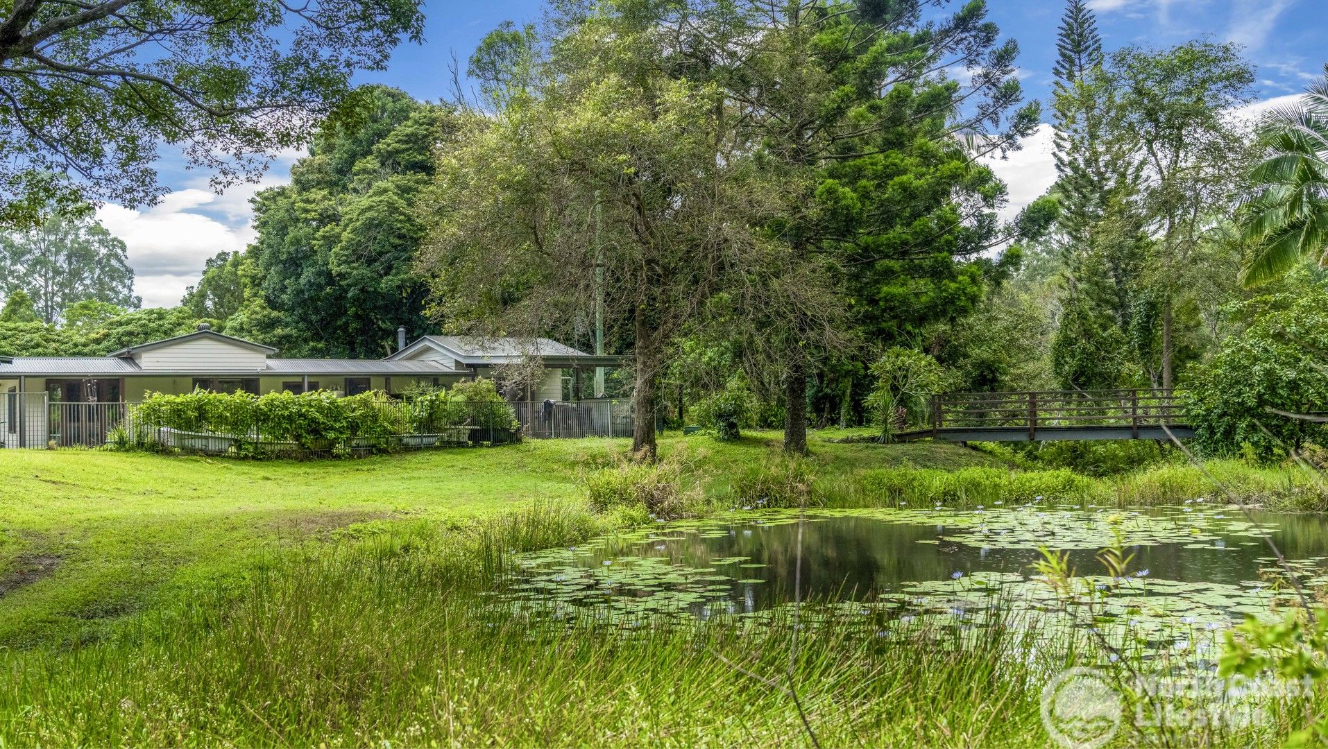 Round Mountain NSW 2484 House for Sale Domain