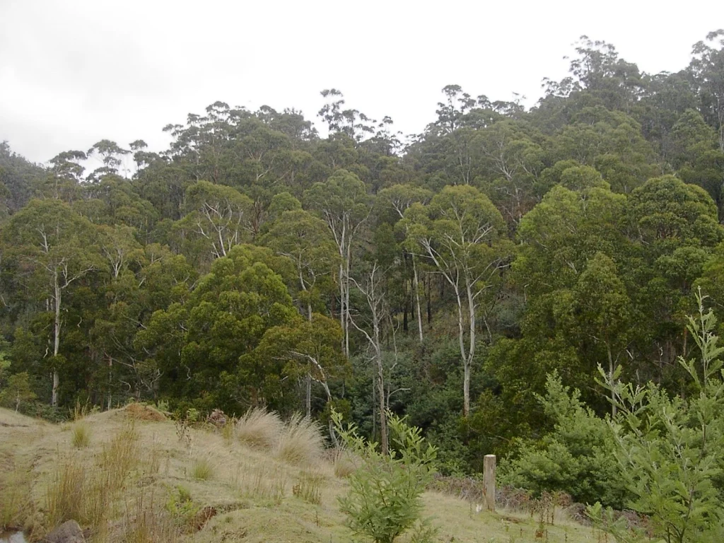 Image 13