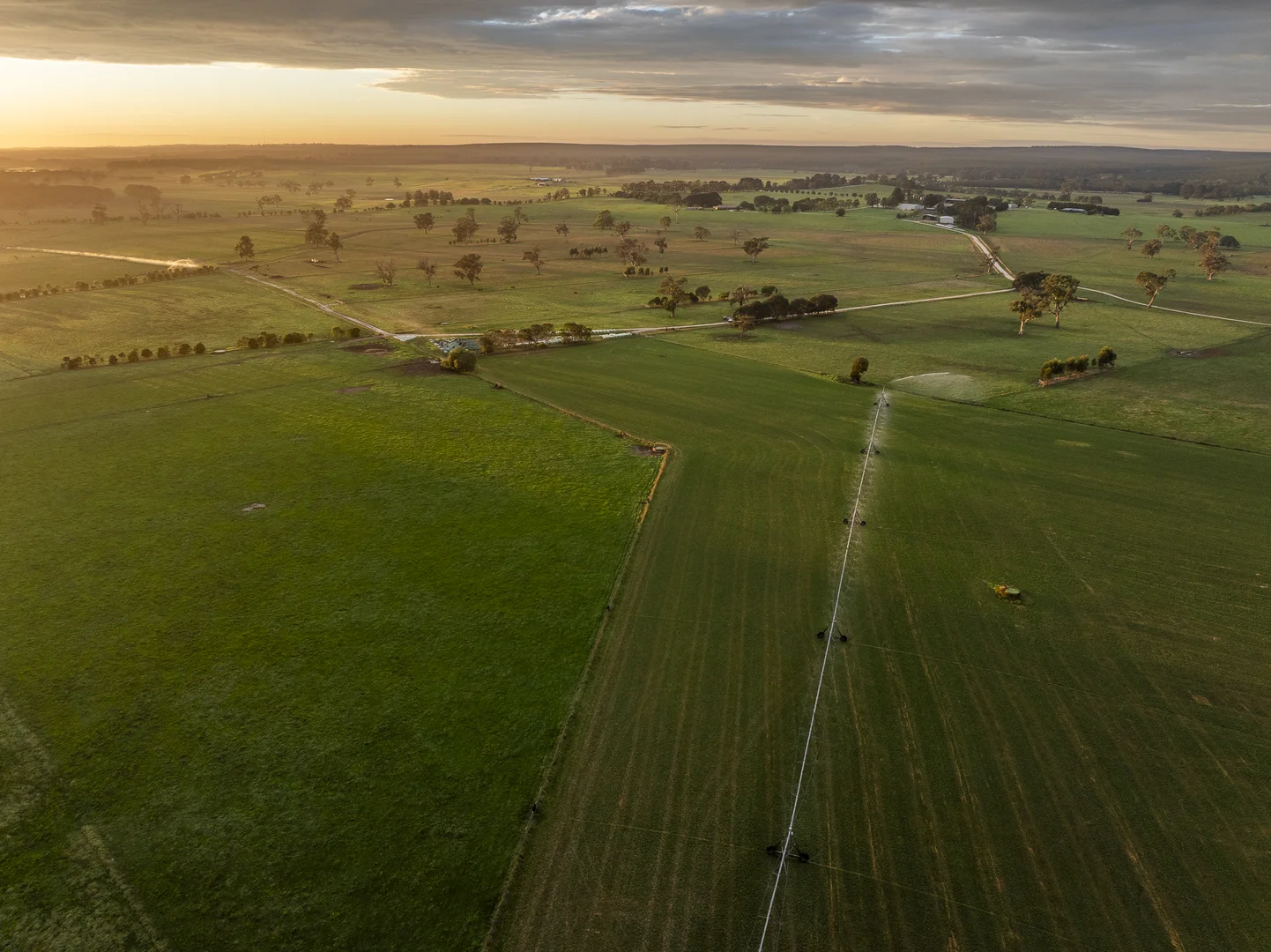 Additional image 28 of 103 Kellys Road, Longford VIC 3851