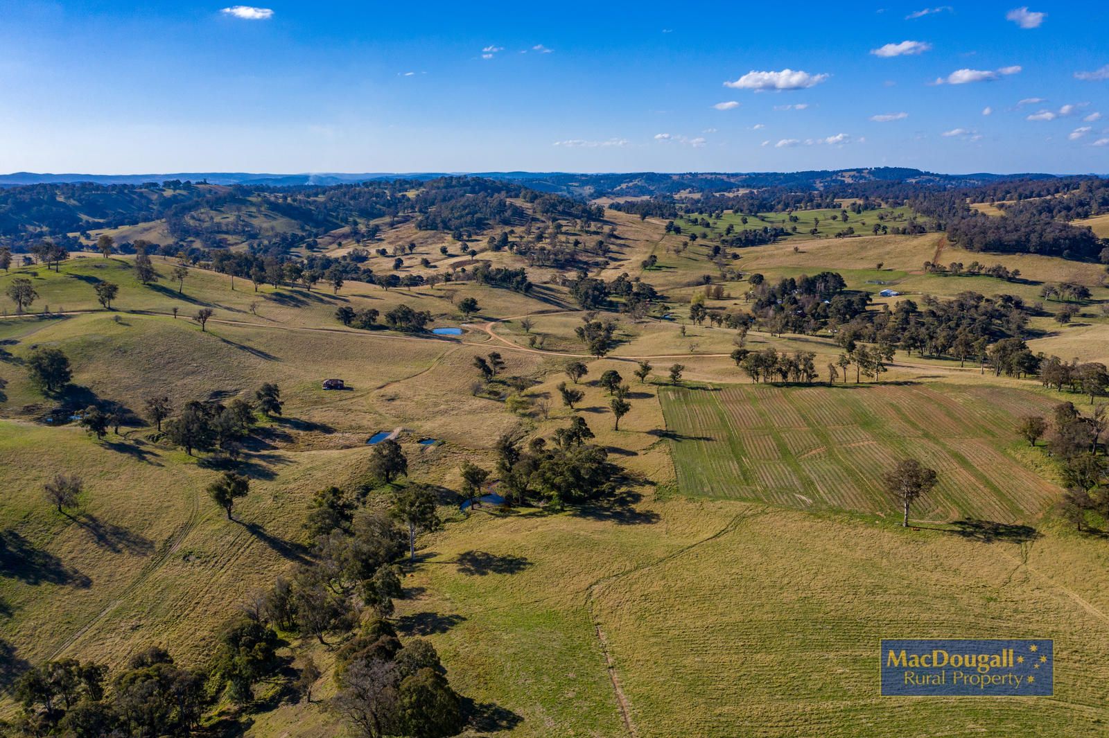 340 Flags Niangala Road, Walcha NSW 2354, Image 0