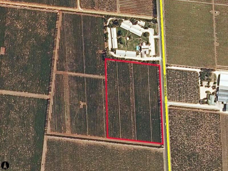 Lot 200 Riddoch Highway, Coonawarra SA 5263, Image 1