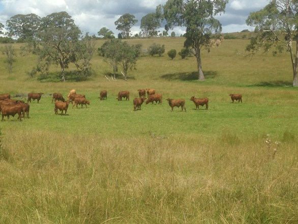 Lot 1 New England Highway, Crows Nest QLD 4355