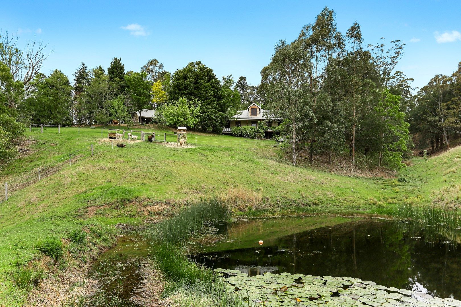 308 STRONGS ROAD, Berry NSW 2535, Image 0