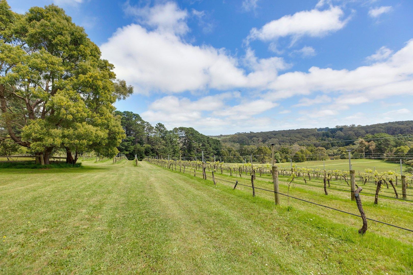 224 Main Creek Road, Main Ridge VIC 3928, Image 0