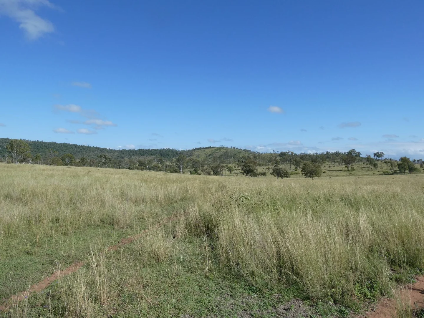 Additional image 37 of L63 & L99 Summers Road, Ginoondan QLD 4625