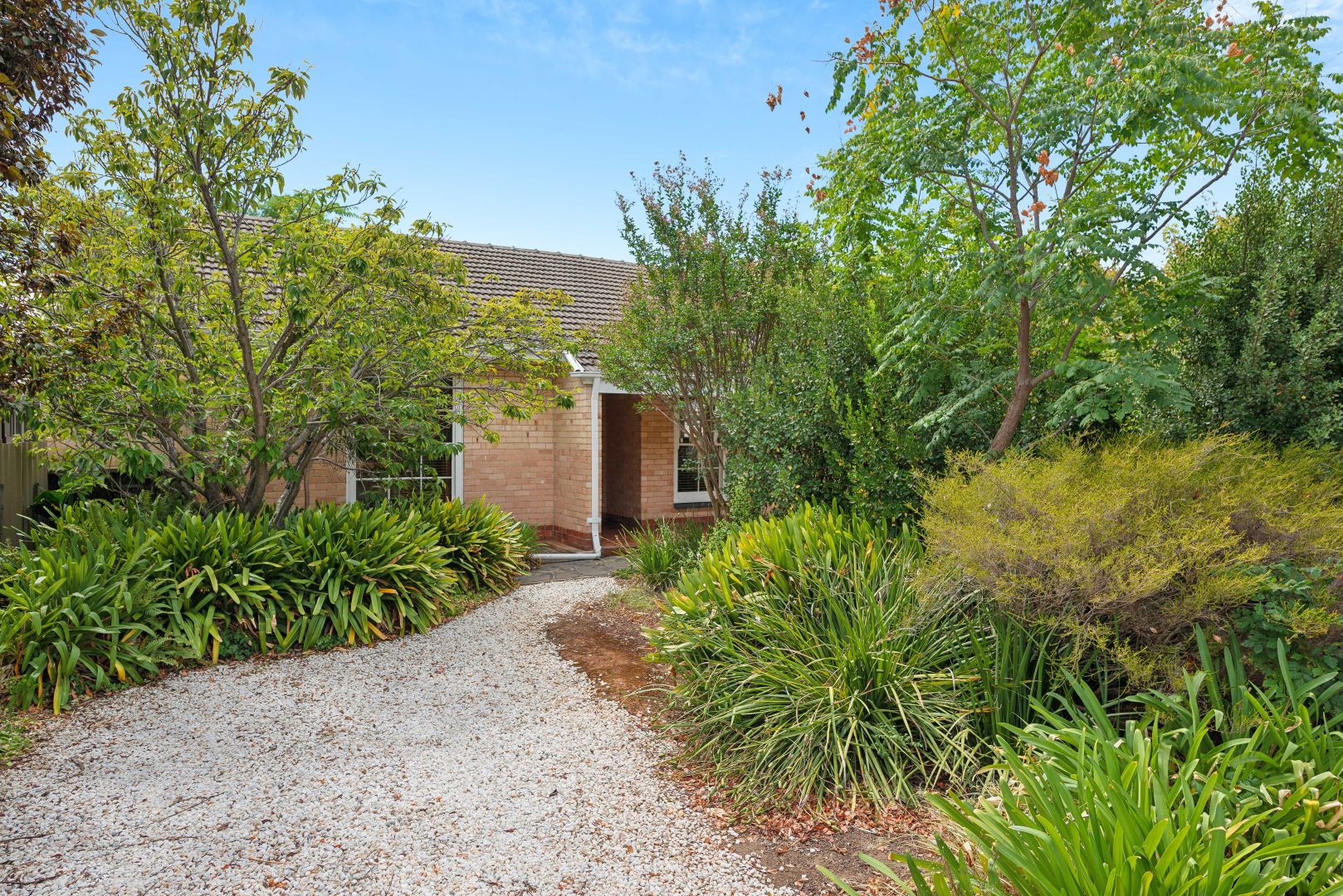 131 Caulfield Avenue, Clarence Gardens SA 5039, Image 1