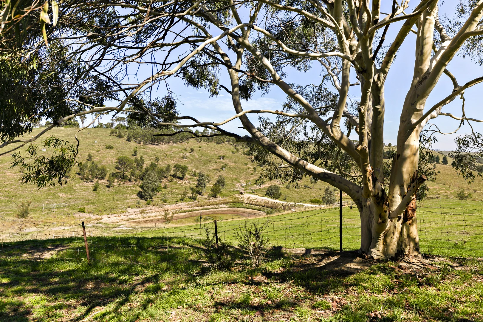 Image 18