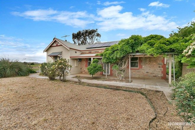 169 Real Estate Properties For Sale In Light Pass Sa 5355 Domain