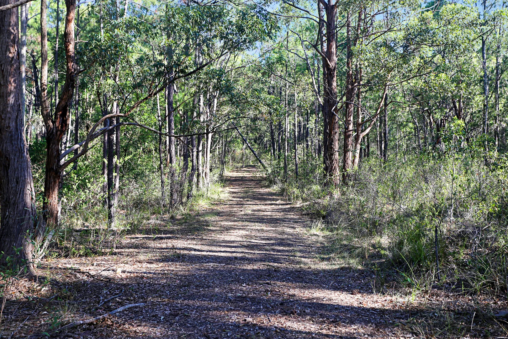 Additional image 7 of Lot 10 Pindimar Road, Pindimar NSW 2324