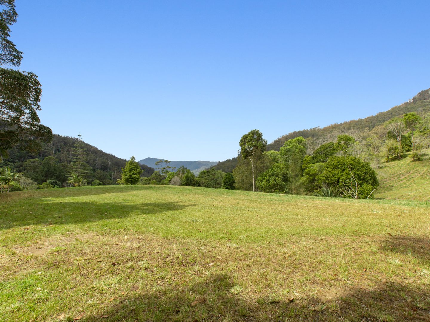 501 Mount Warning Road, Mount Warning NSW 2484, Image 2