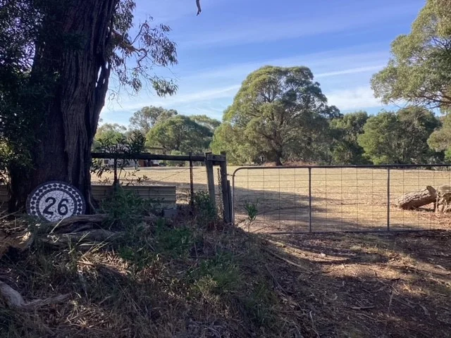 Image 13