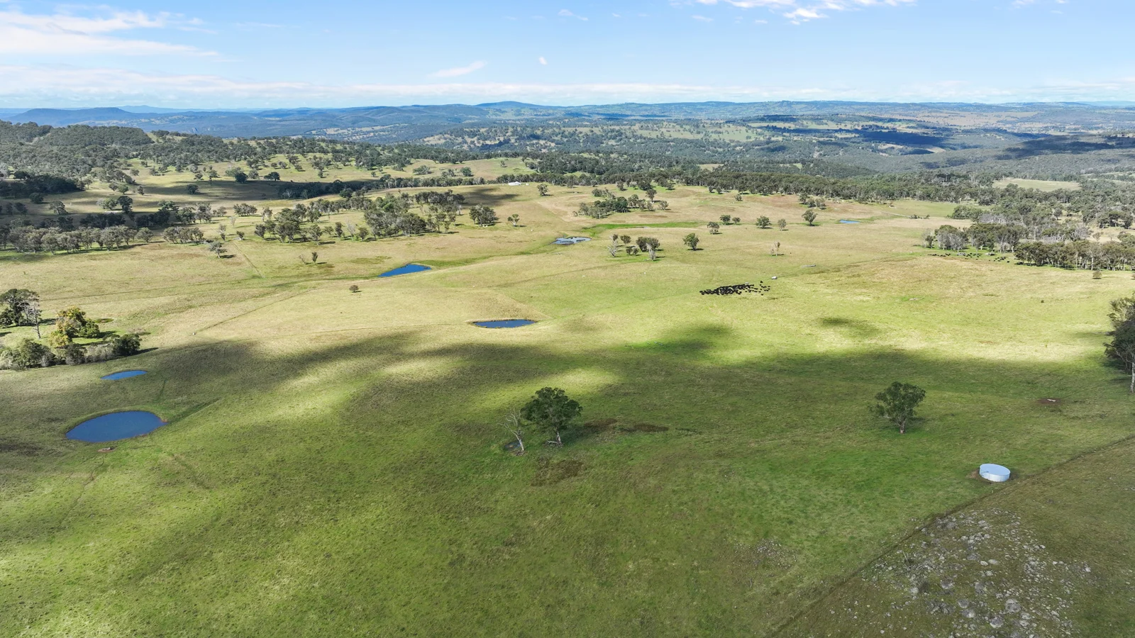 Additional image 9 of "Wyanga" 195 Gills Road, Uralla NSW 2358