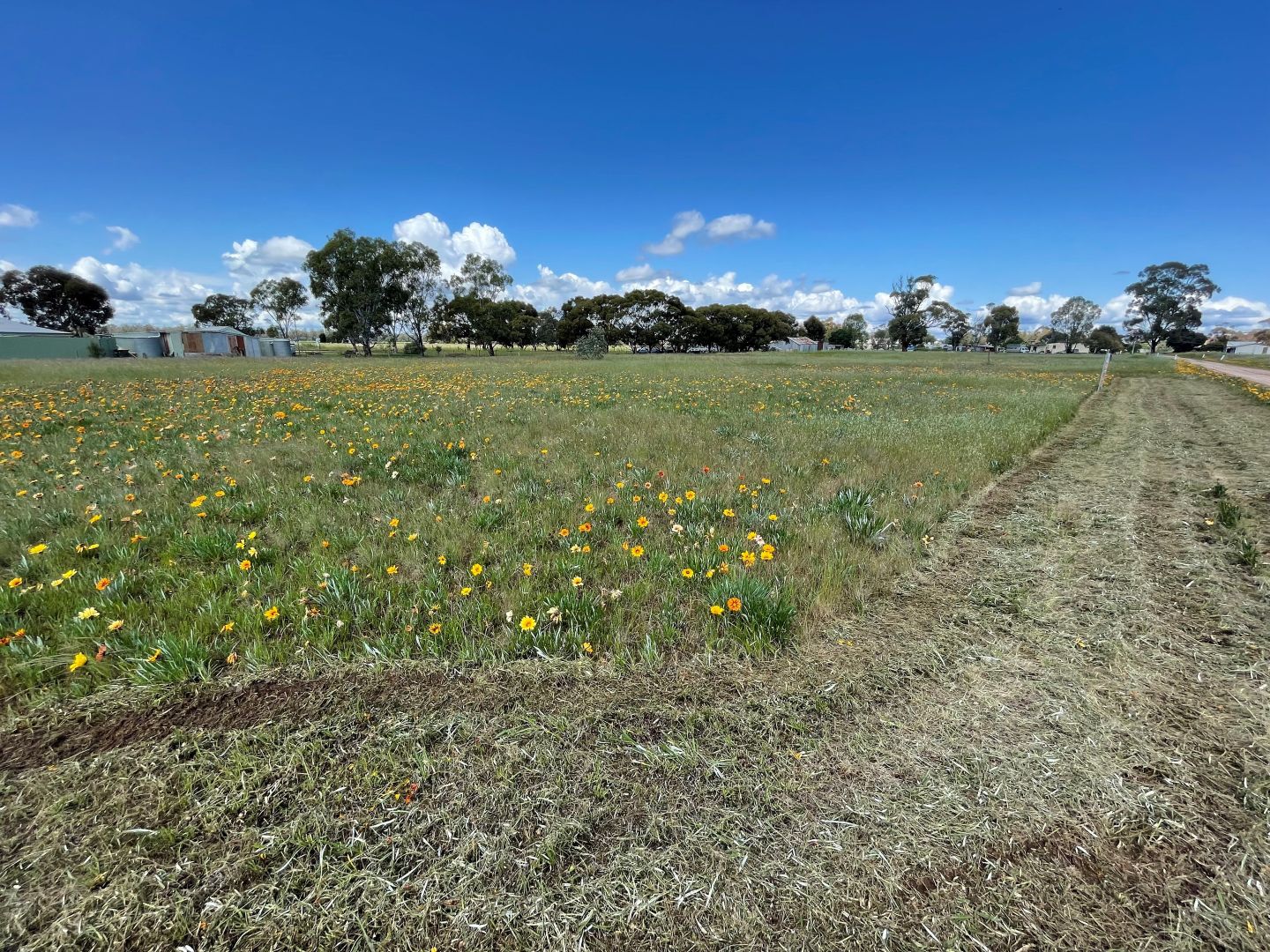 Lots 31 & 32 Gibson Street, Korong Vale VIC 3520 House for Sale 65,000