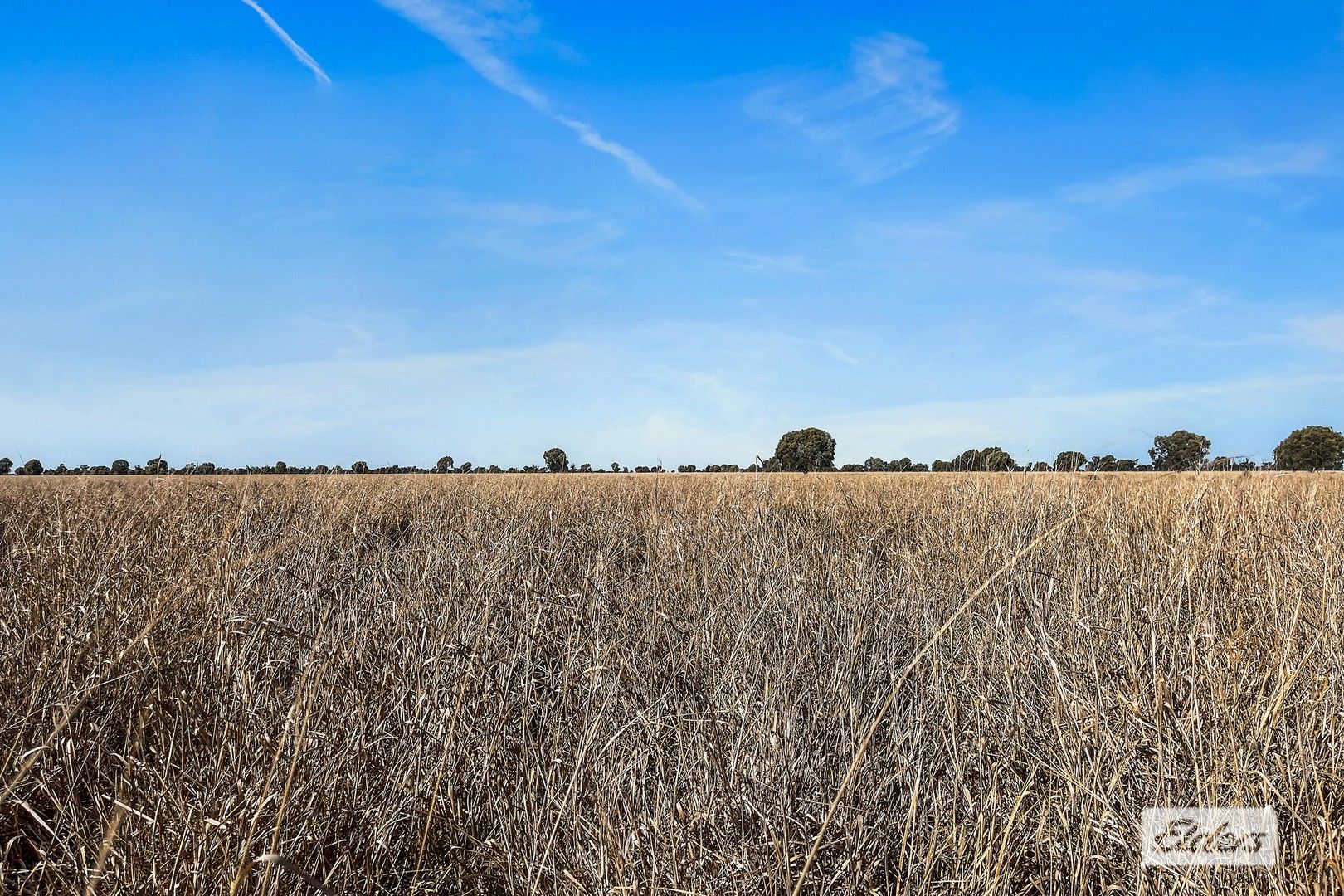 13724 Mitchell St Road, St QLD 4487 House for Sale