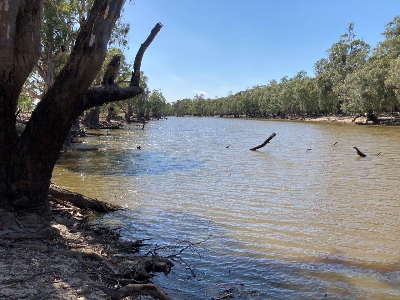 Rmb 2275 Perricoota Road, Moama NSW 2731 House for Sale Domain