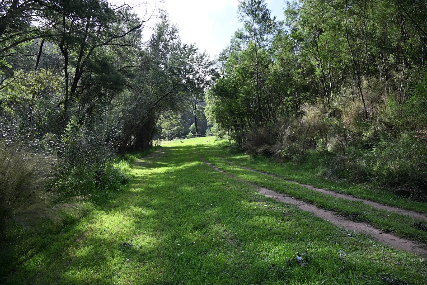 Additional image 3 of Upper Yango Ck Rd, Laguna NSW 2325