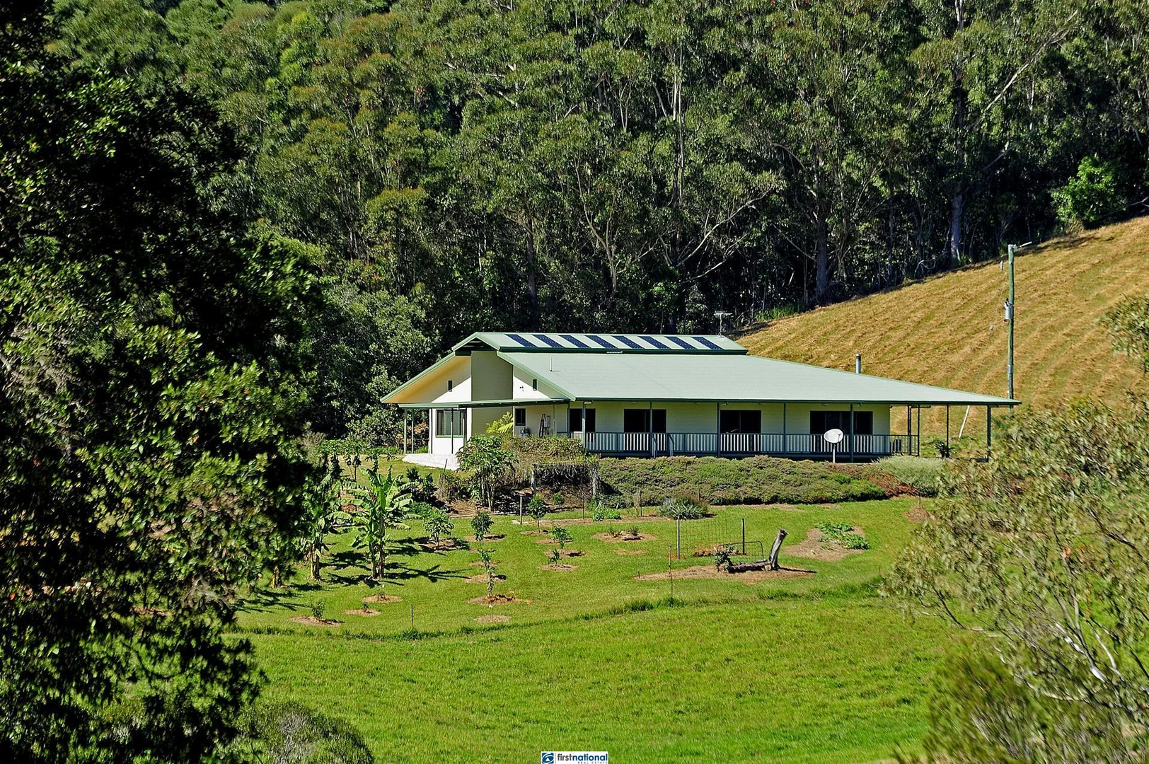 Image 19