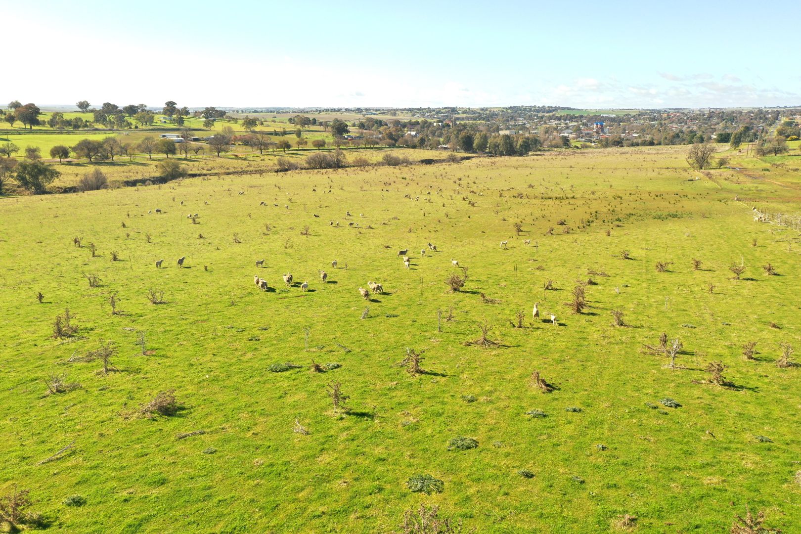 Lot 255, 256 & 257 Araluen Road, Murrumburrah NSW 2587, Image 1