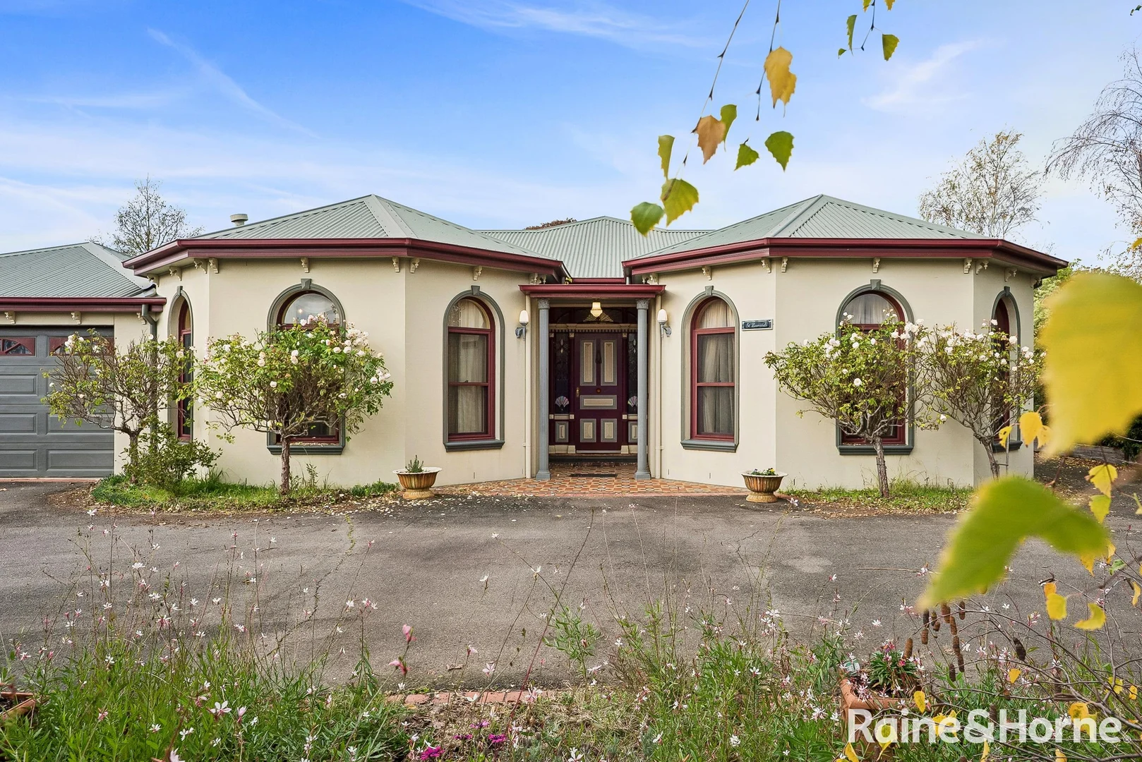 Image 19