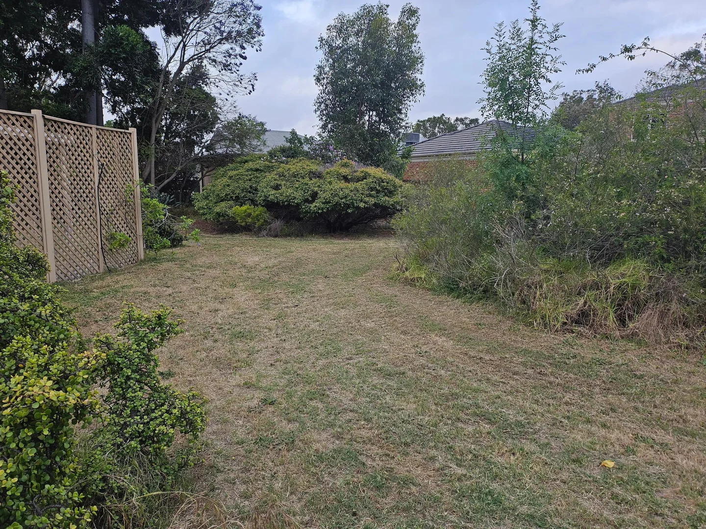 Image 14