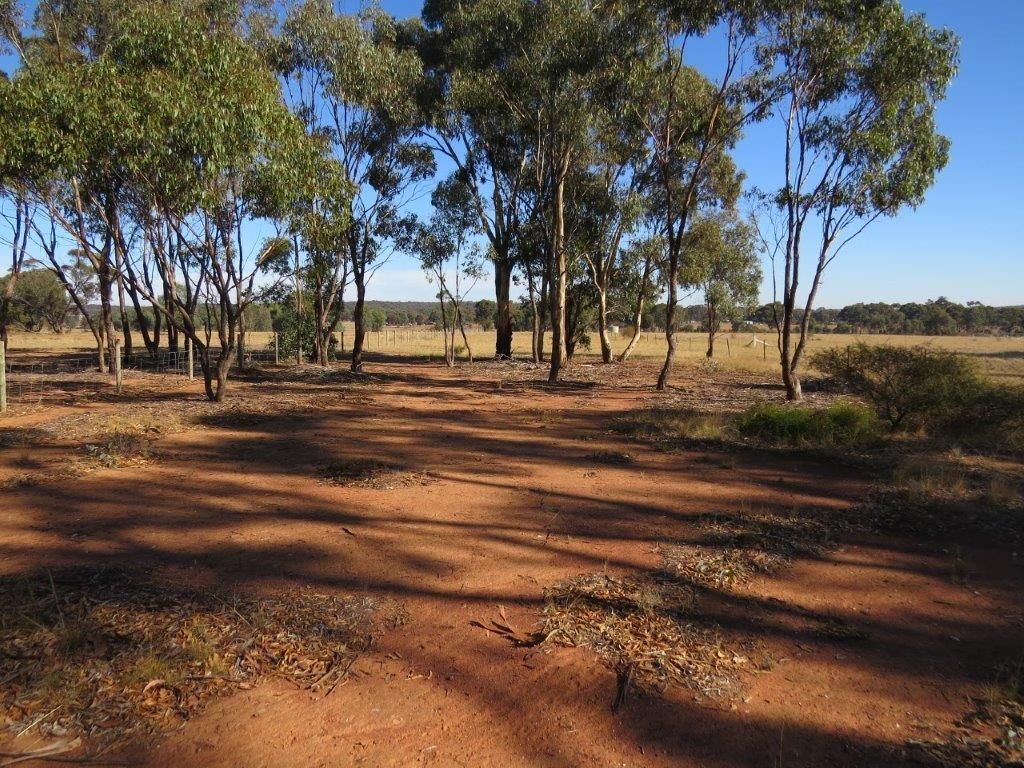 Lot 40A Monument Drive, Wedderburn VIC 3518, Image 2