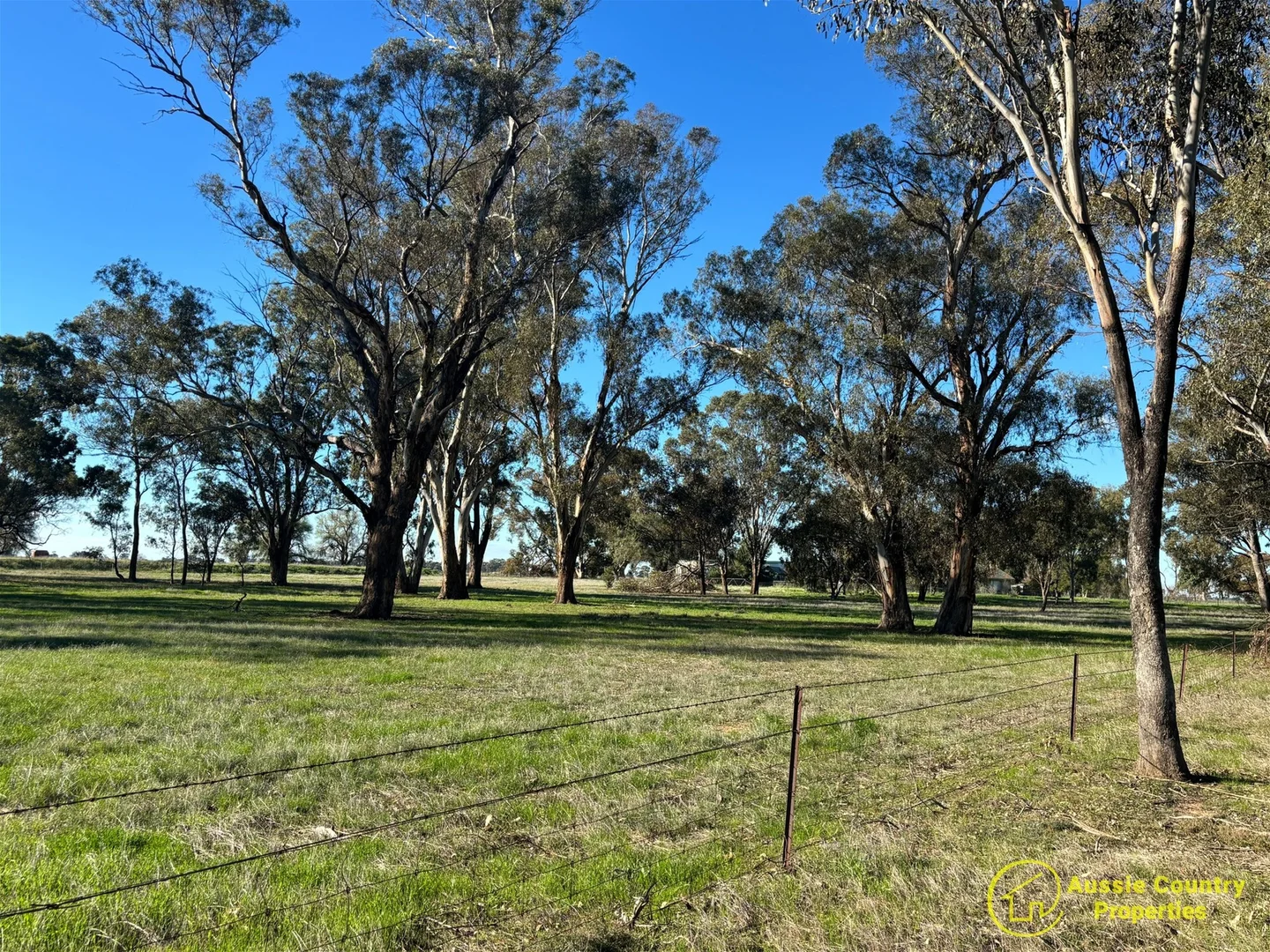 Image 10