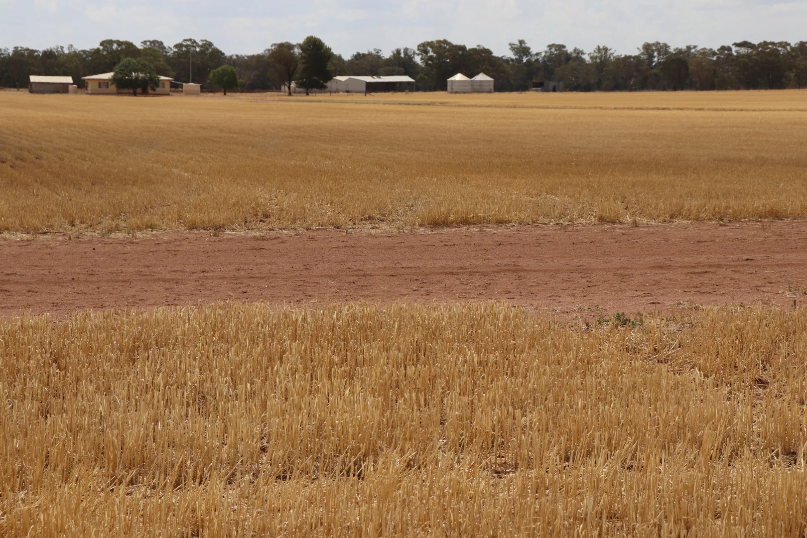Image 15