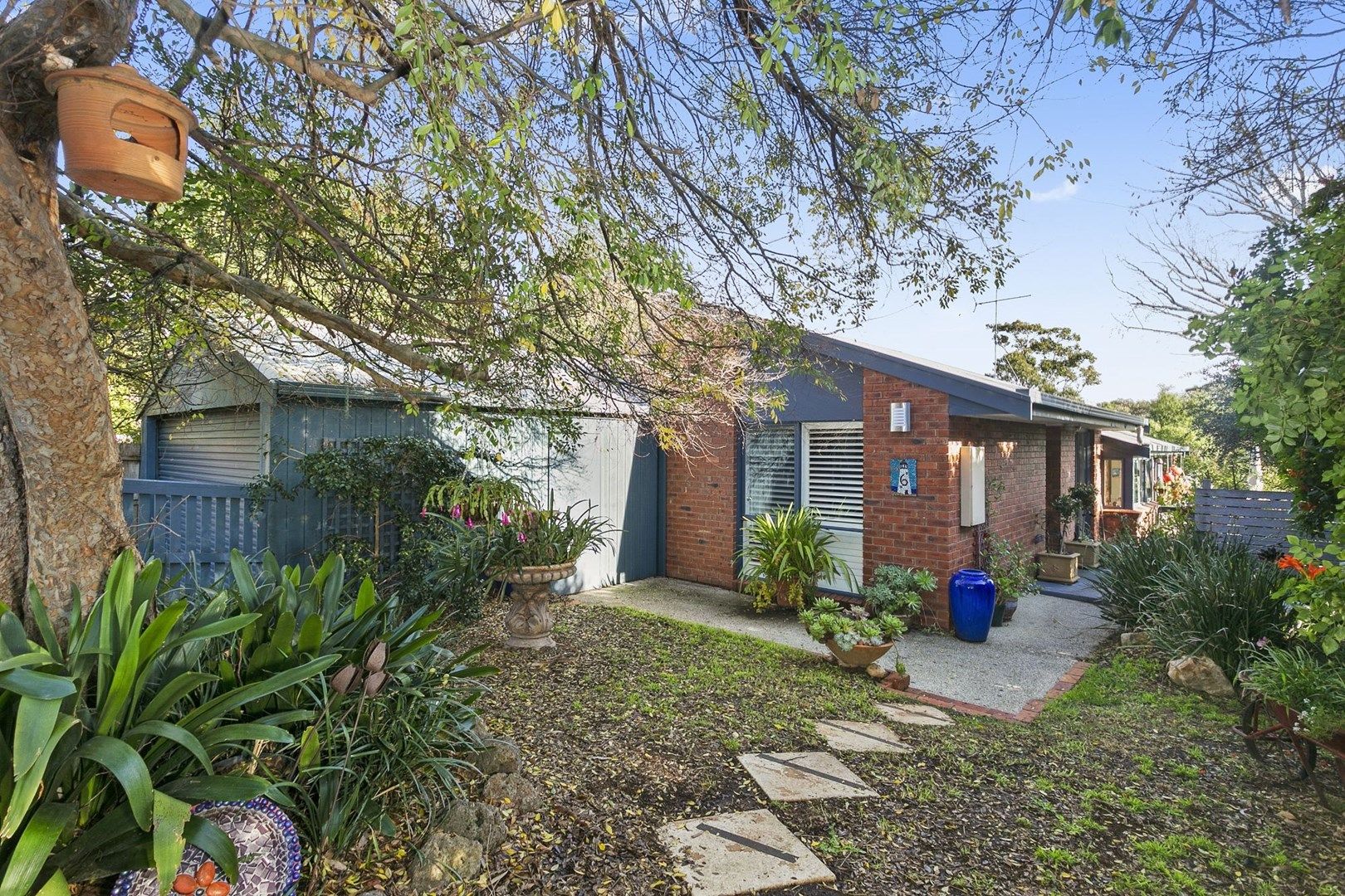 6 Roslyn Court, Ocean Grove VIC 3226, Image 0