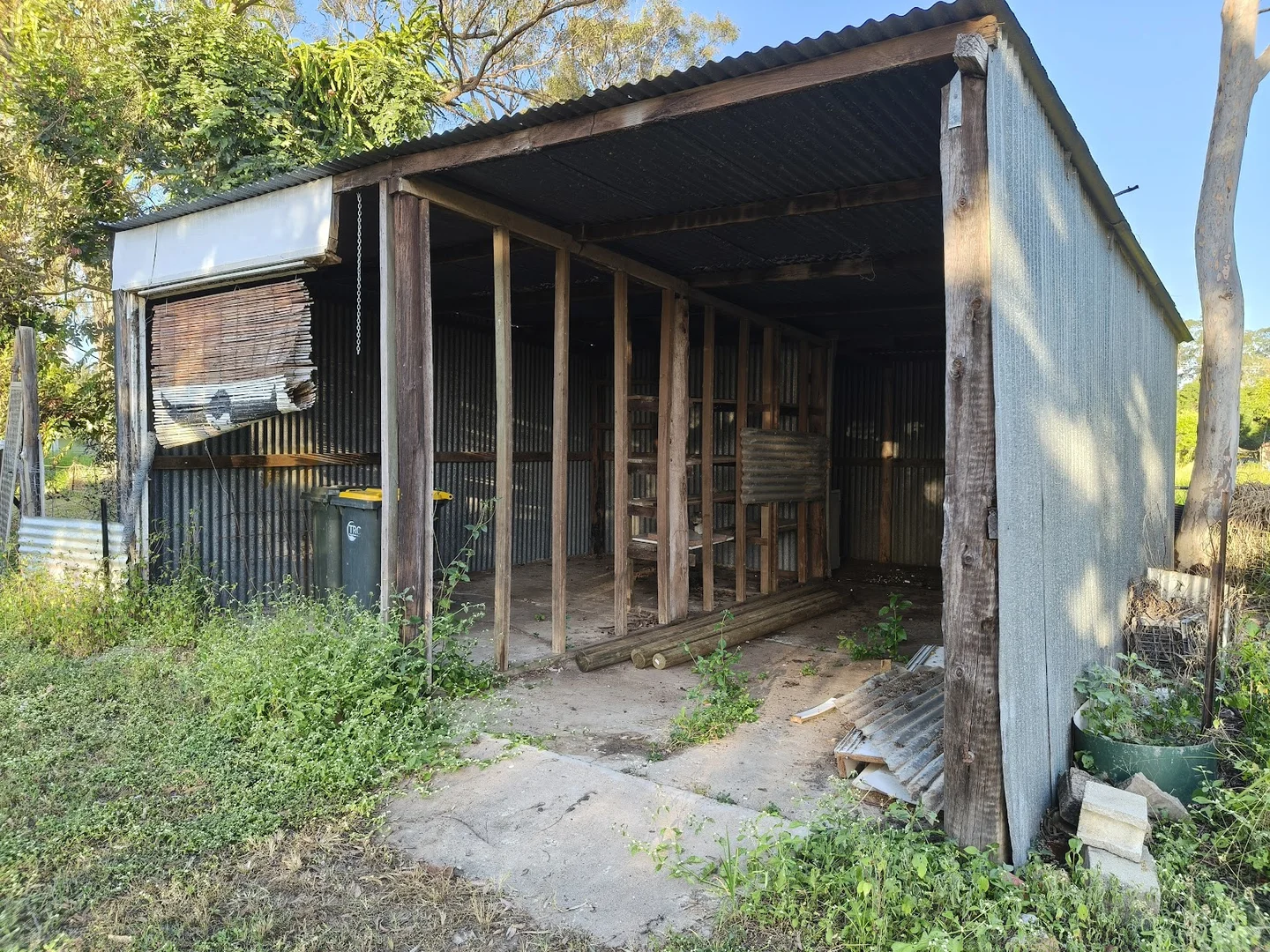 Image 11