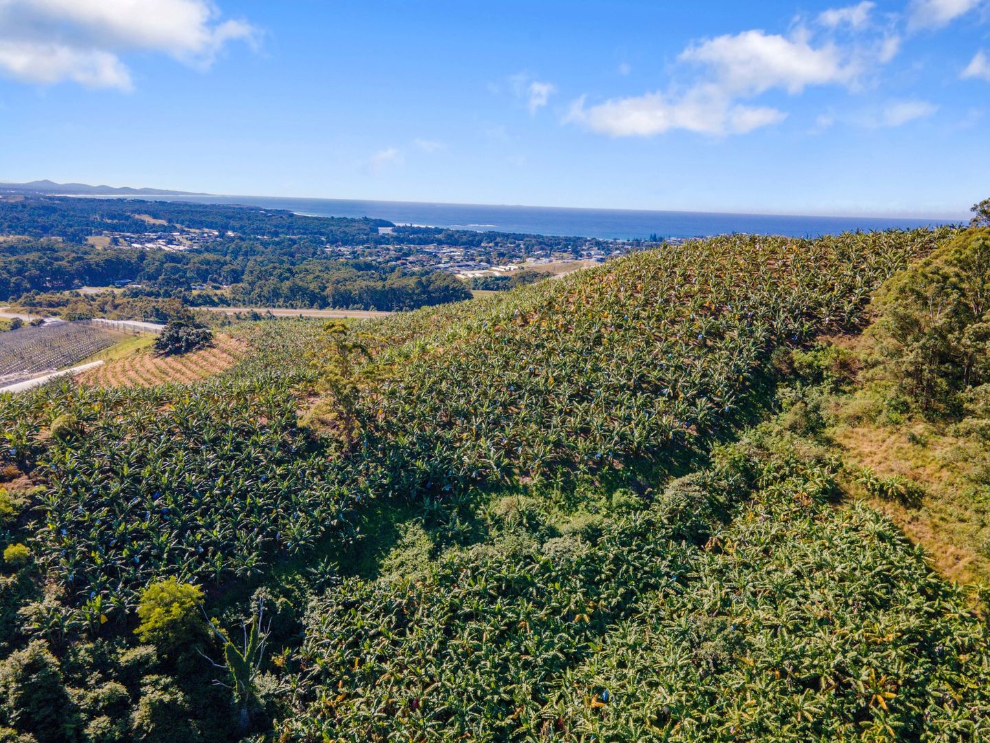 Lot 1 Greys Road, Woolgoolga NSW 2456 Vacant Land for Sale Domain