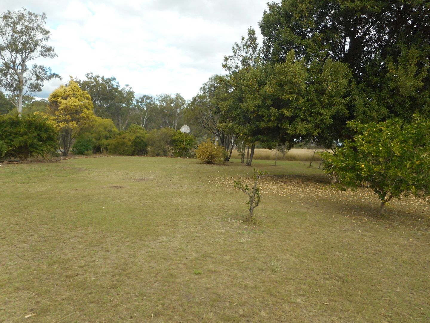 Mount Perry QLD 4671, Image 1