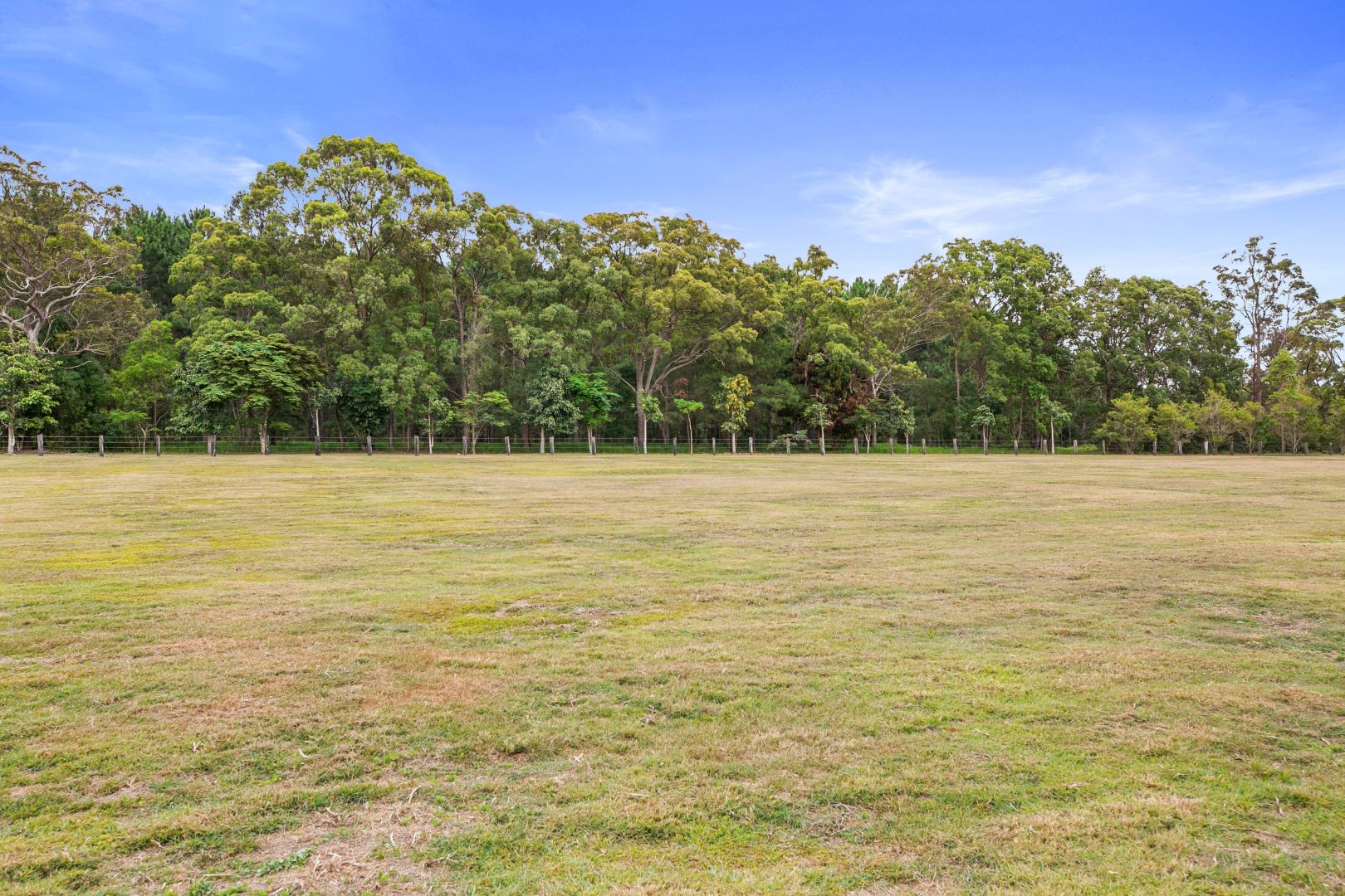 81 Osborne Court, Wallu QLD 4570 Domain