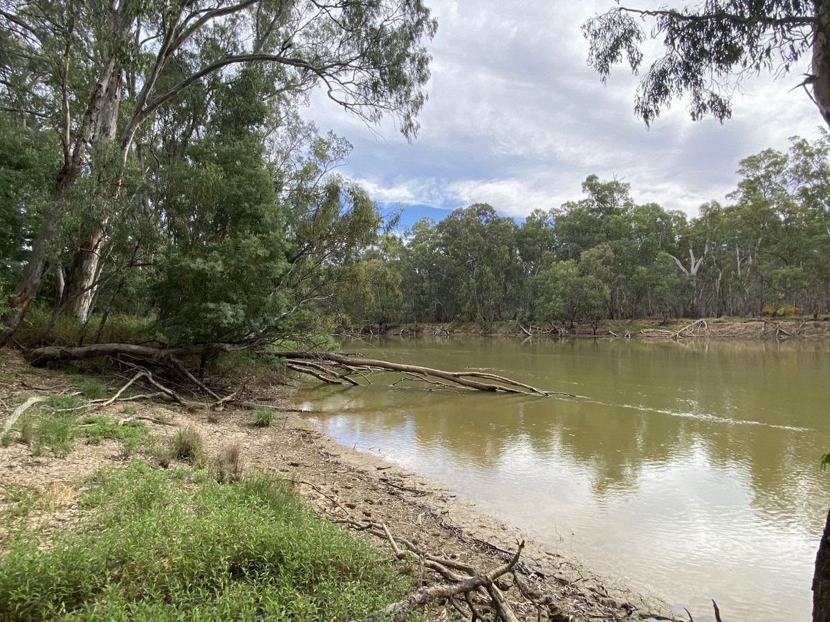 9 North Barham Road, Barham NSW 2732, Image 0