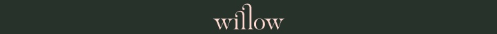 Branding for Willow