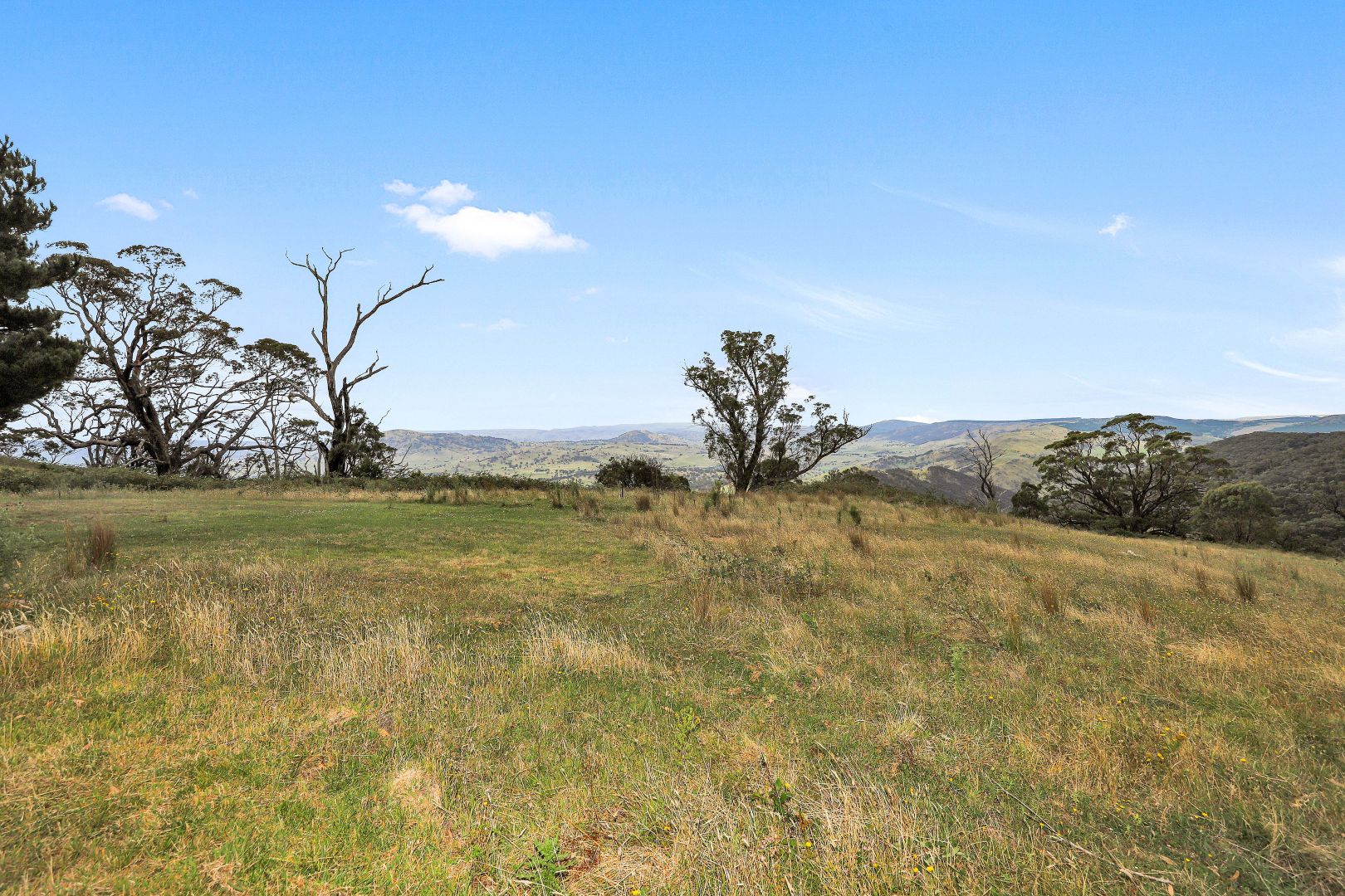 Lot 10 in DP 1005495 Wee Jasper Road, Tumut NSW 2720, Image 2