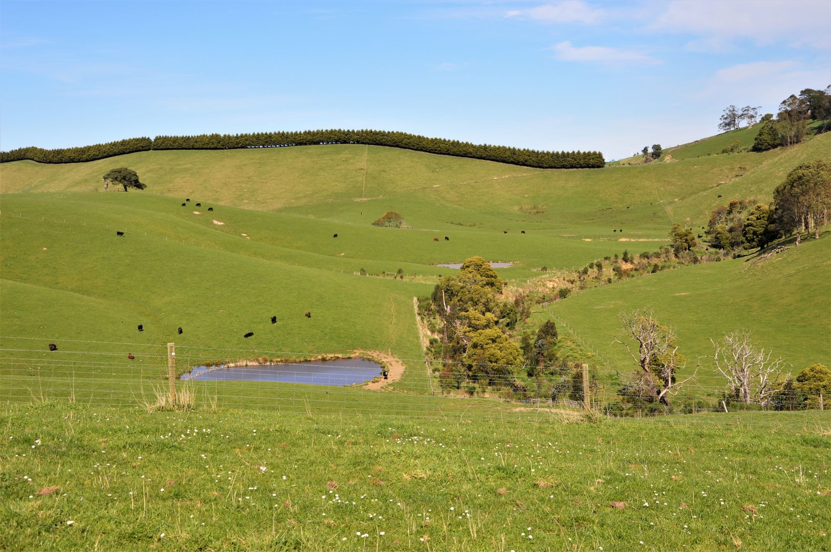 375 Devils Pinch Road, Toora VIC 3962, Image 1