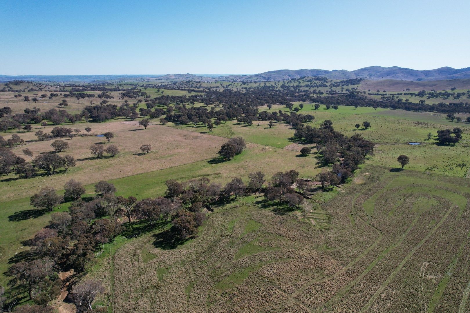 Talbragar, Bogolara Road, Bookham NSW 2582, Image 0