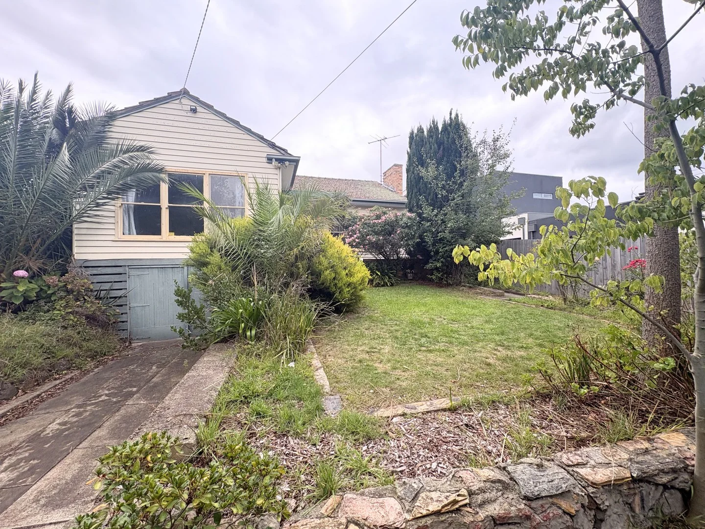 20 Walter Street, East Geelong VIC 3219