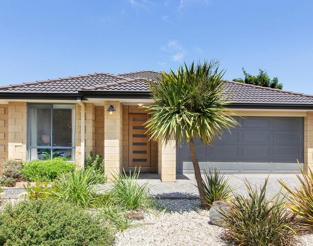 17 Bellview Court, Mansfield VIC 3722
