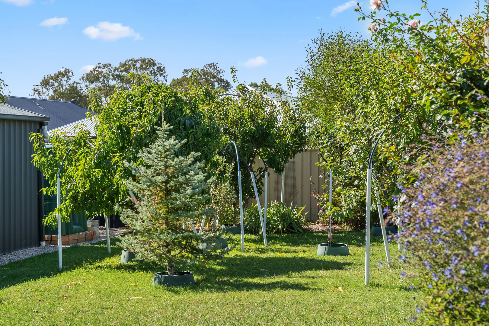 Additional image 21 of 4 Herbig Court, Mount Barker SA 5251