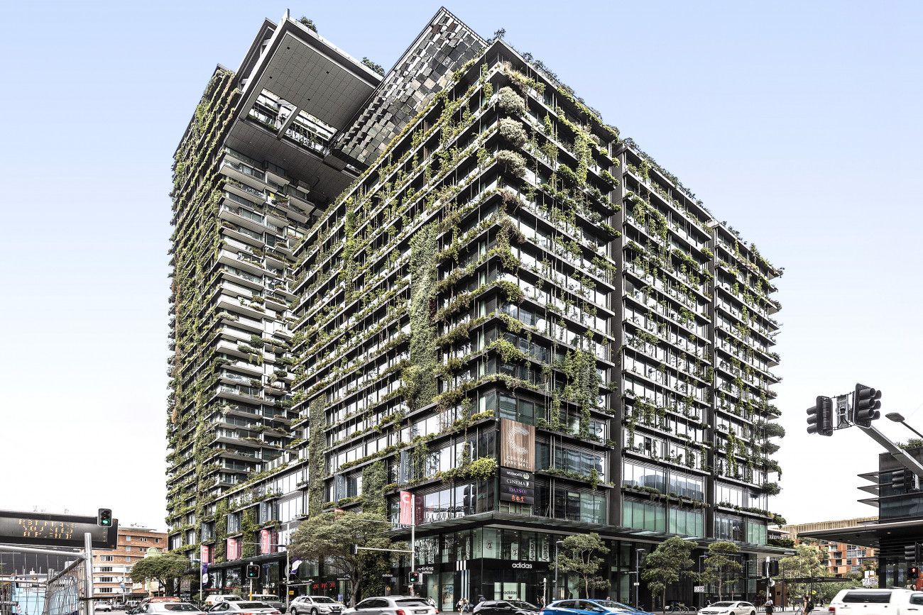 W12151/2 Chippendale Way, Chippendale NSW 2008 Apartment For Rent